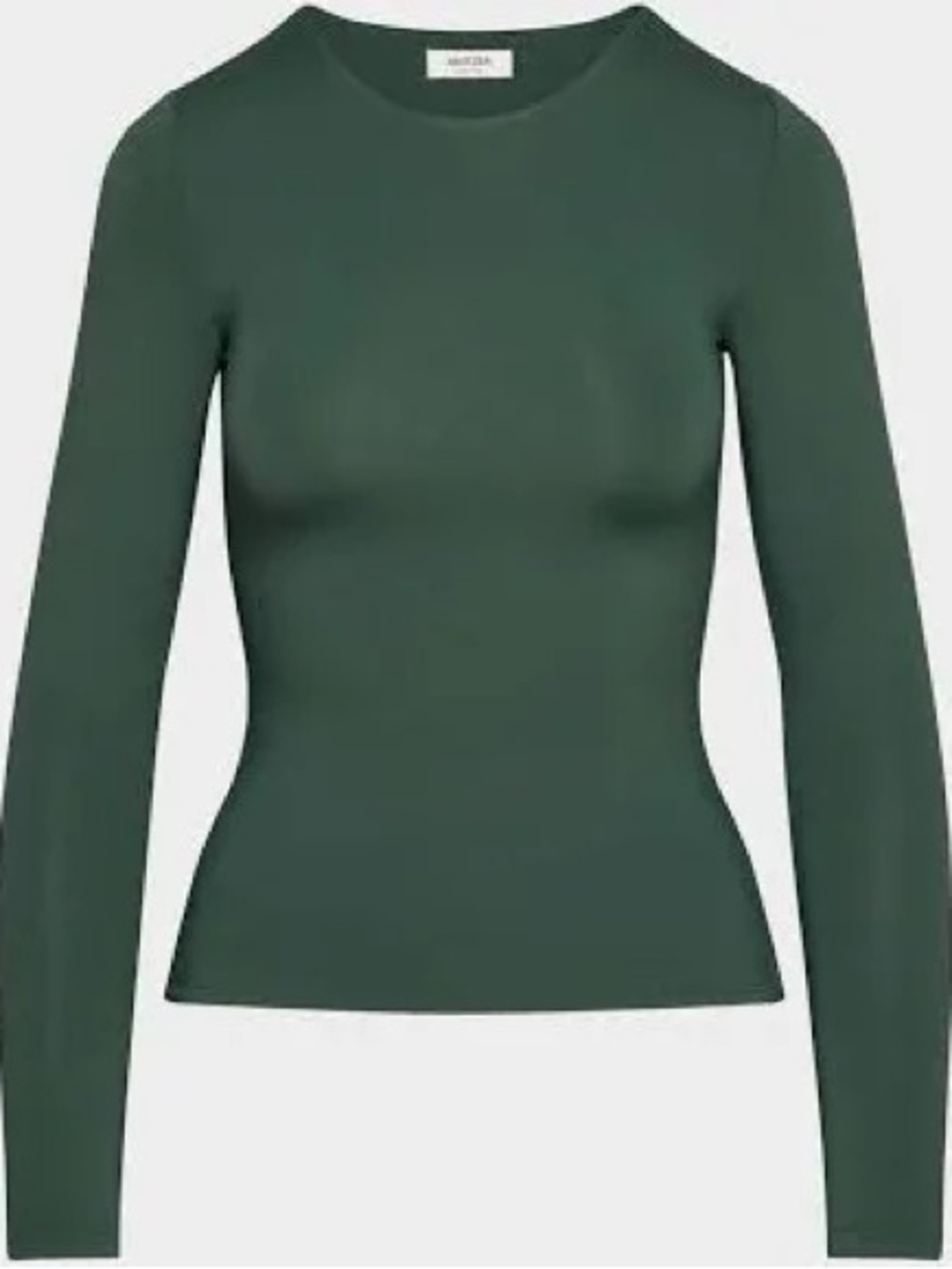 Aritzia Crew Neck Contour Long Sleeve Top - Women's Large, Scarab